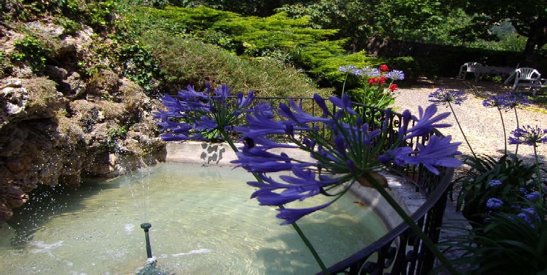 bassin et fleurs du chateau massal